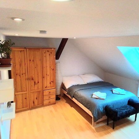 Apartman Penelope Zatec  Exterior photo